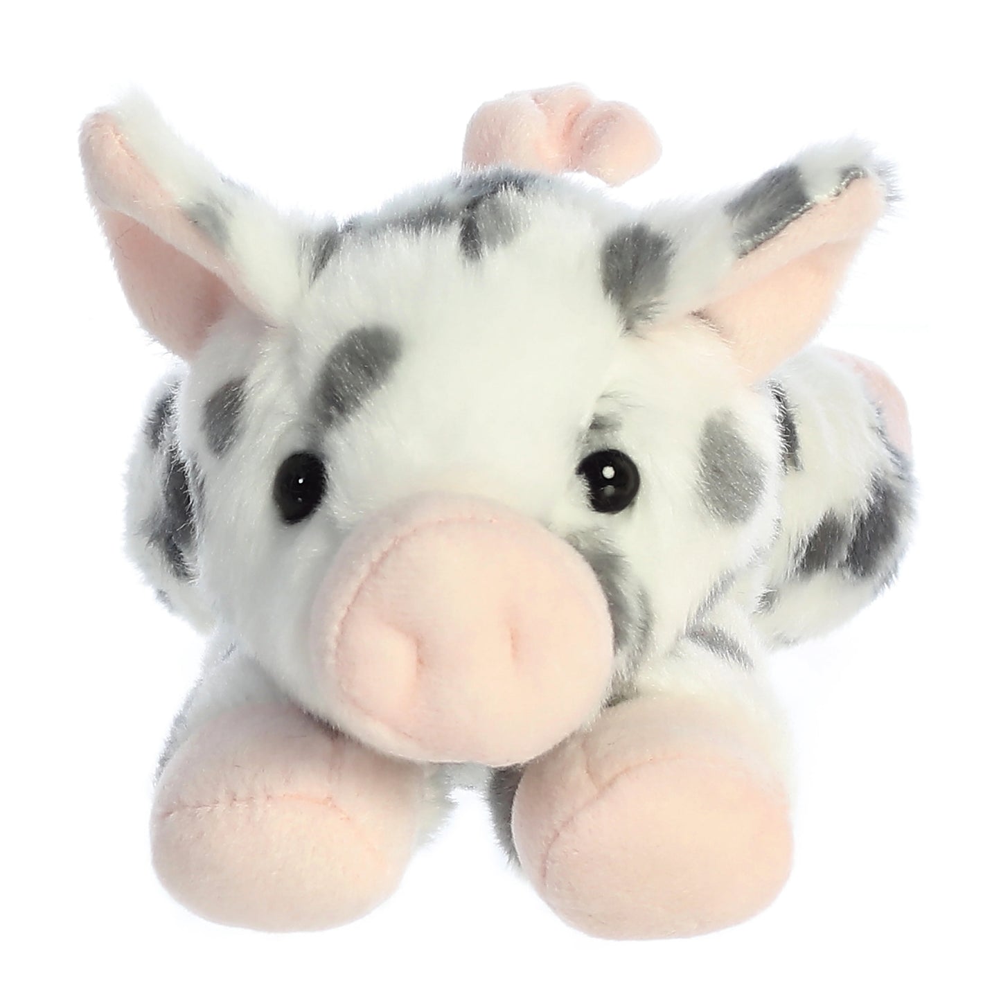 PELUCHE PUERQUITO PINTO PEQUEÑO